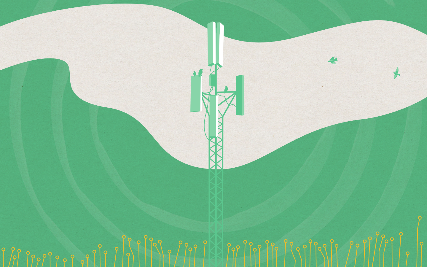 A mobile phone mast